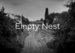 Empty_Nest_Official_Image